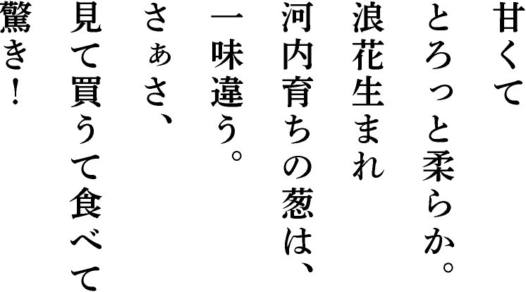 甘くてとろっと柔らか。浪花生まれ河内育ちの葱は、一味違う。さぁさ、見て買うて食べて驚き！